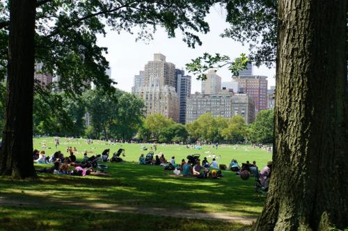 Central Park - im Hintergrund die Hochhäuser